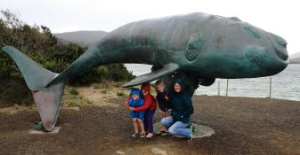 Whale Sculpture at Cockle Creek