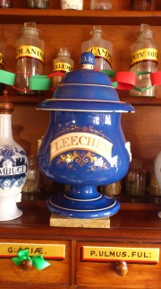 Jar of leeches