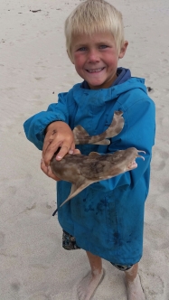 Oscar with Wobbegong Shark