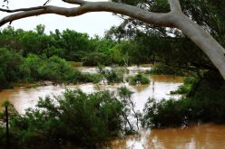 The flooded Murchison river