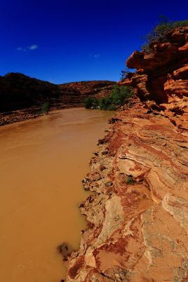 Loop walk by the Murchison river