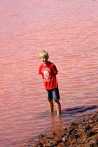 Standing in the Pink Lake