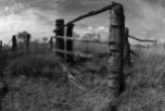 Original sheep fences
