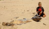 Dead crocodile on the beach