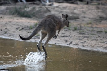 A local crossing the river